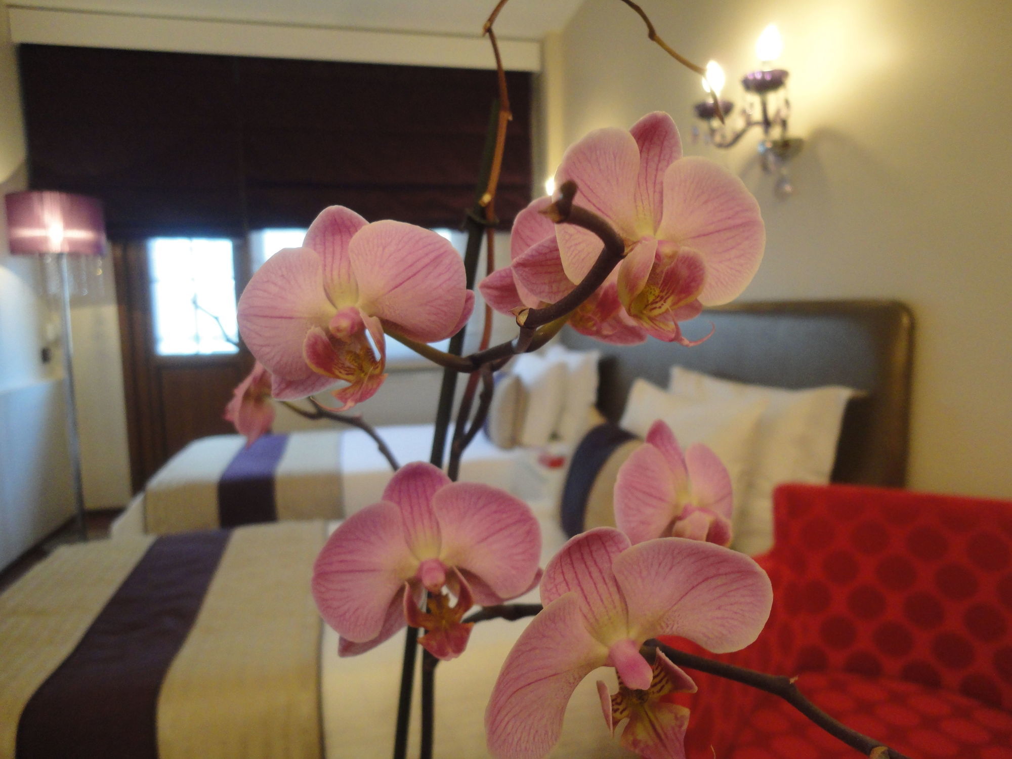 Bakirkoy Tashan Business & Airport Hotel Istanboel Buitenkant foto